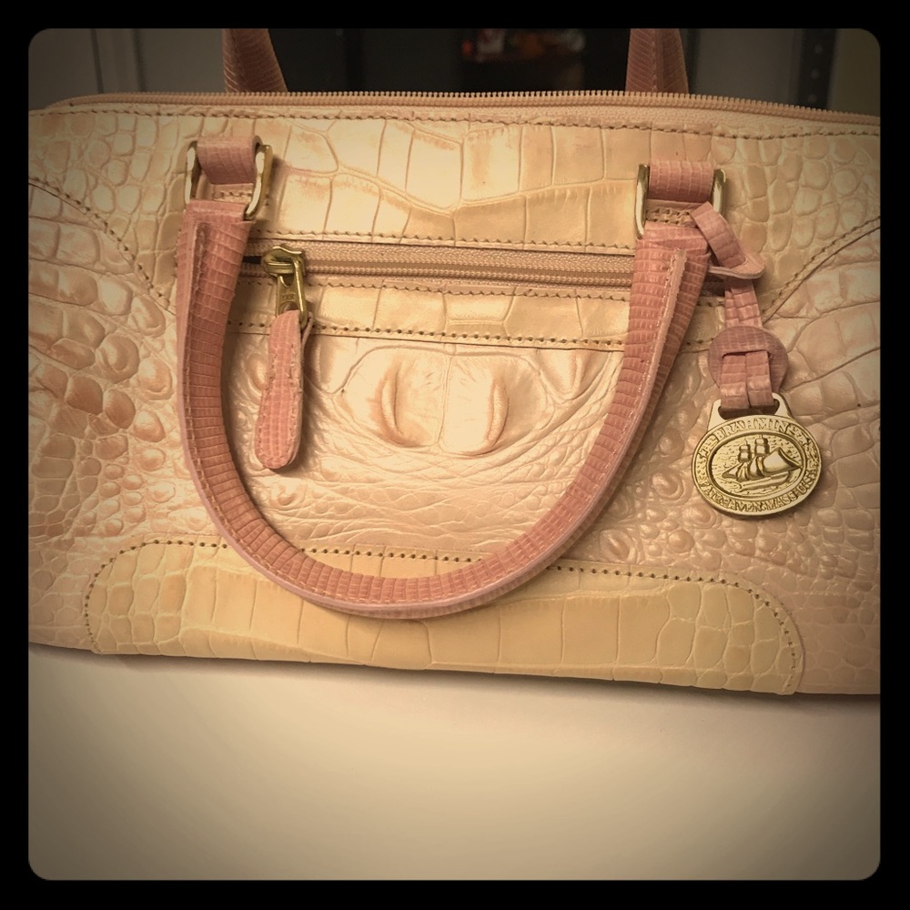Brahmin Purse